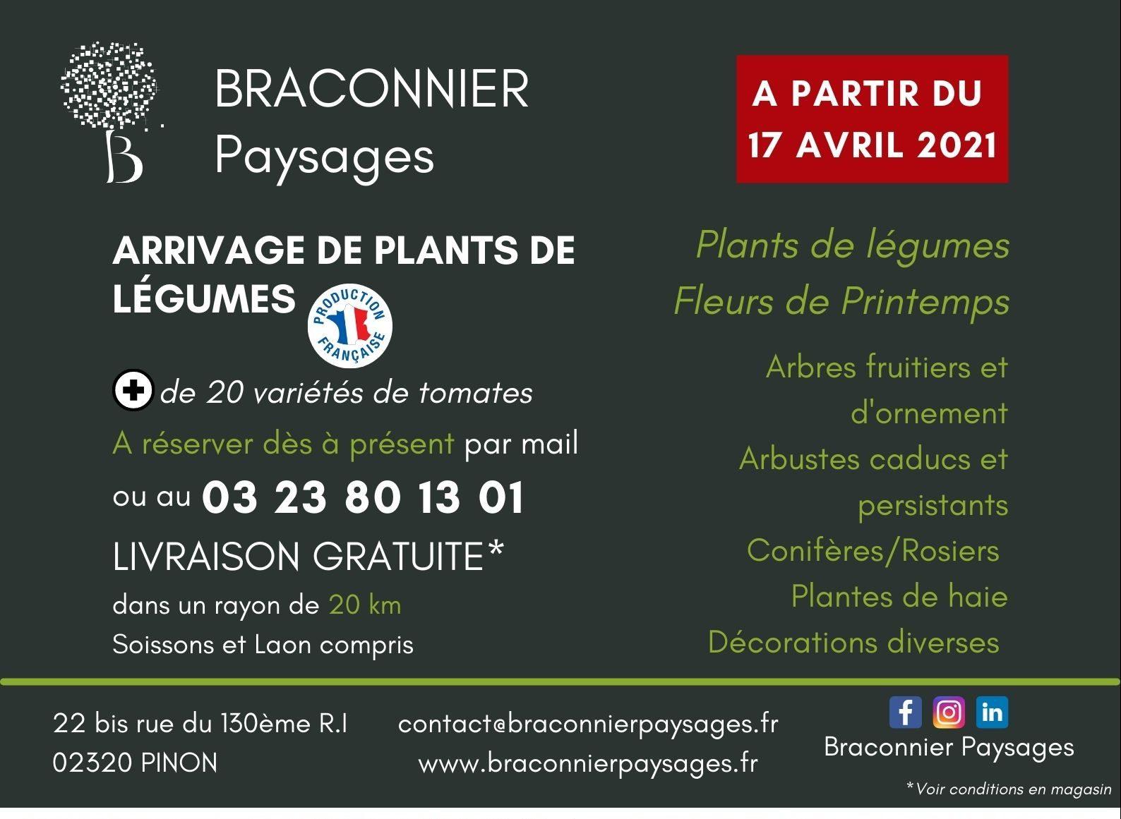 Mailing-Plants-de-legumes-2-e1618554998354